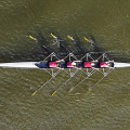 Building a Strong Team: Strategies for Entrepreneurship and Small Business Success